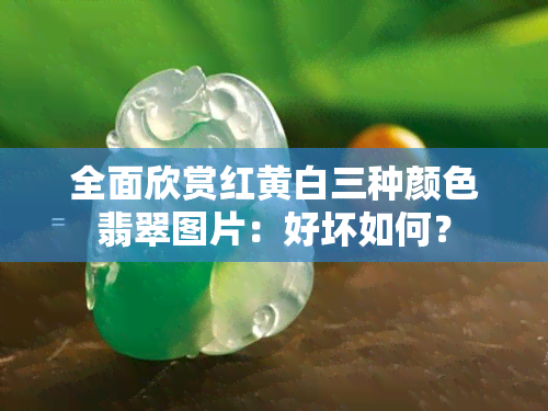 全面欣赏红黄白三种颜色翡翠图片：好坏如何？