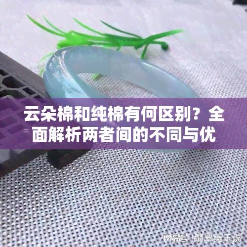 云朵棉和纯棉有何区别？全面解析两者间的不同与优劣