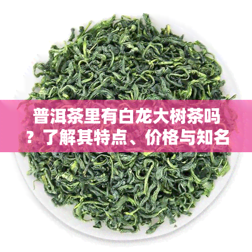 普洱茶里有白龙大树茶吗？了解其特点、价格与知名