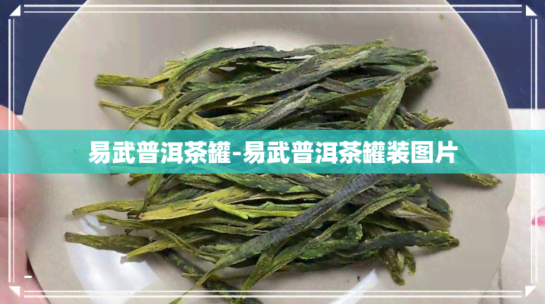 易武普洱茶罐-易武普洱茶罐装图片