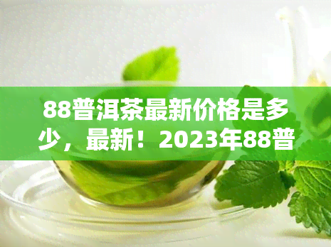 88普洱茶最新价格是多少，最新！2023年88普洱茶市场价格行情解析