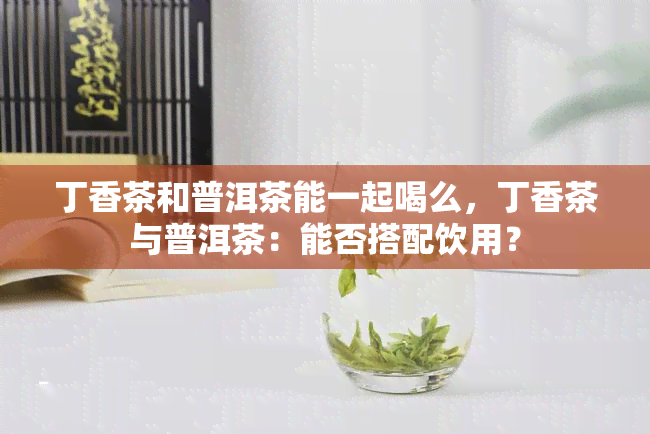 丁香茶和普洱茶能一起喝么，丁香茶与普洱茶：能否搭配饮用？