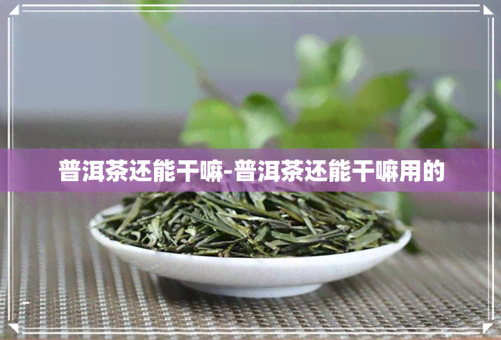 普洱茶还能干嘛-普洱茶还能干嘛用的