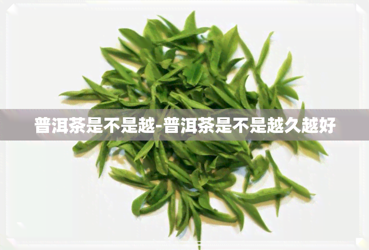 普洱茶是不是越-普洱茶是不是越久越好