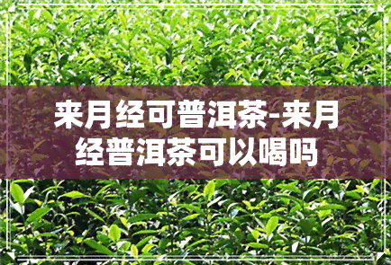 来月经可普洱茶-来月经普洱茶可以喝吗