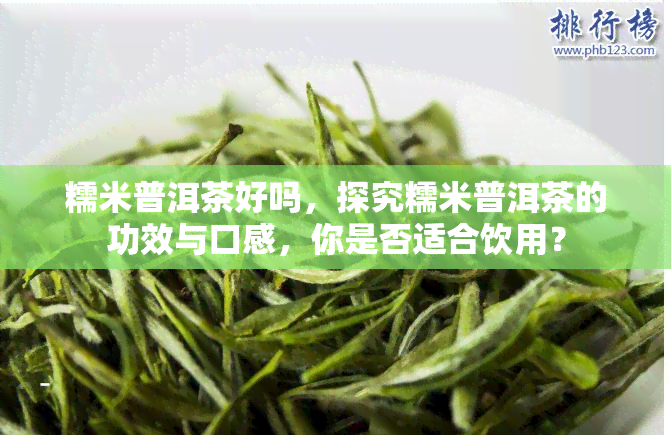 糯米普洱茶好吗，探究糯米普洱茶的功效与口感，你是否适合饮用？