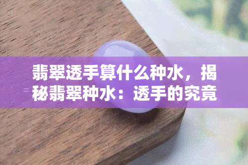 翡翠透手算什么种水，揭秘翡翠种水：透手的究竟是哪种？