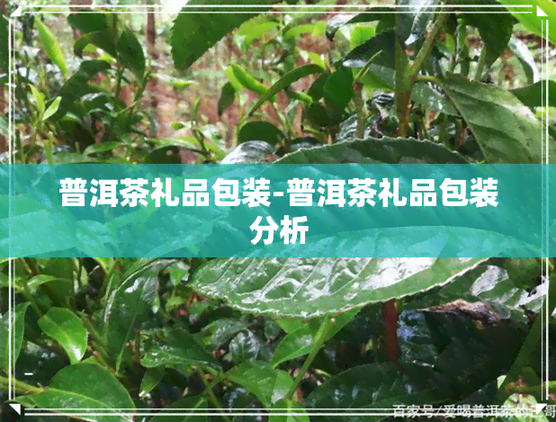 普洱茶礼品包装-普洱茶礼品包装分析