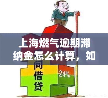 上海燃气逾期滞纳金怎么计算，如何计算上海燃气的逾期滞纳金？