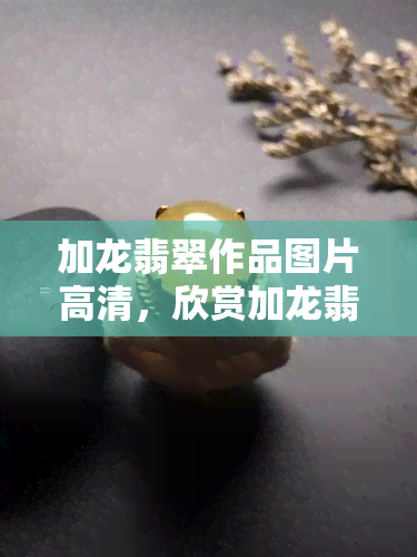 加龙翡翠作品图片高清，欣赏加龙翡翠的精美作品：高清图片大放送！