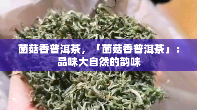 菌菇香普洱茶，「菌菇香普洱茶」：品味大自然的韵味