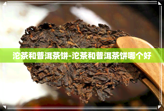 沱茶和普洱茶饼-沱茶和普洱茶饼哪个好