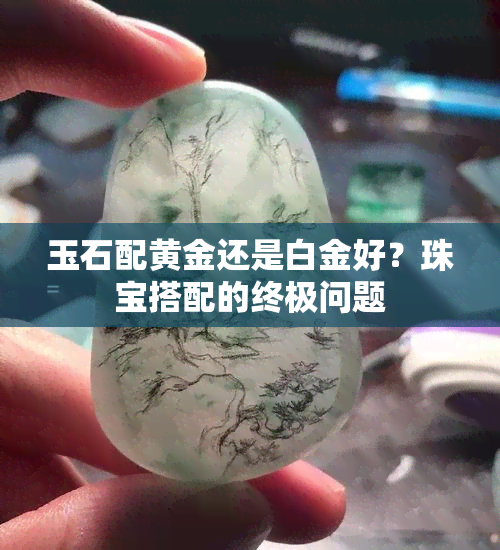 玉石配黄金还是白金好？珠宝搭配的终极问题