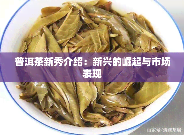 普洱茶新秀介绍：新兴的崛起与市场表现