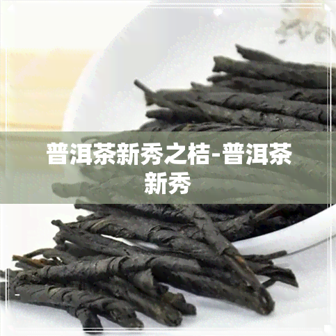 普洱茶新秀之桔-普洱茶新秀