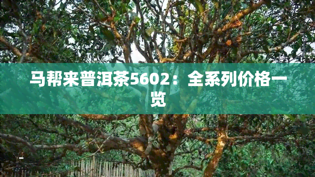 马帮来普洱茶5602：全系列价格一览