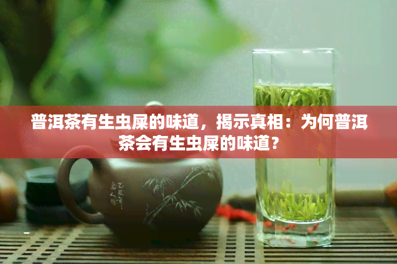 普洱茶有生虫屎的味道，揭示真相：为何普洱茶会有生虫屎的味道？