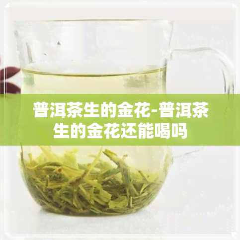 普洱茶生的金花-普洱茶生的金花还能喝吗