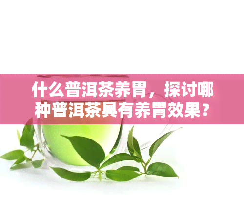 什么普洱茶养胃，探讨哪种普洱茶具有养胃效果？