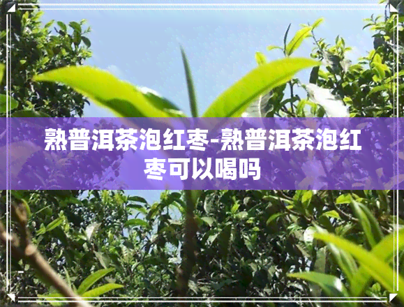 熟普洱茶泡红枣-熟普洱茶泡红枣可以喝吗