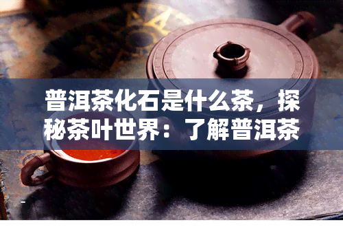 普洱茶化石是什么茶，探秘茶叶世界：了解普洱茶化石的神秘面纱