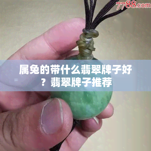 属兔的带什么翡翠牌子好？翡翠牌子推荐