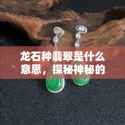 龙石种翡翠是什么意思，探秘神秘的“龙石种翡翠”：它到底是什么意思？