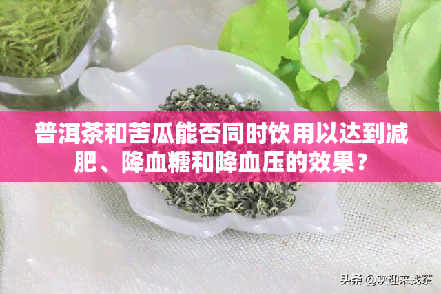 普洱茶和苦瓜能否同时饮用以达到减肥、降血糖和降血压的效果？