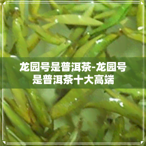 龙园号是普洱茶-龙园号是普洱茶十大高端