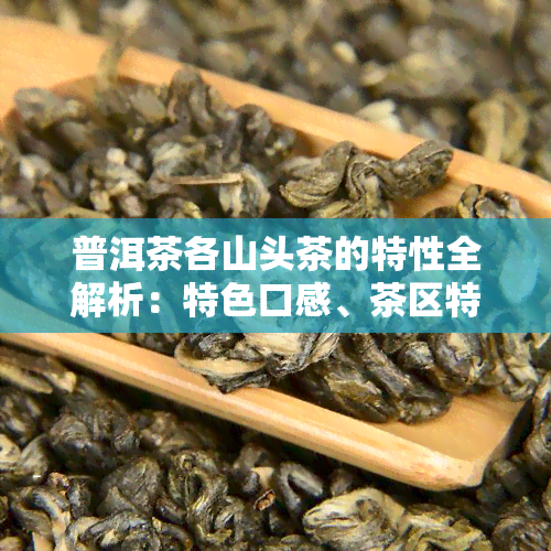 普洱茶各山头茶的特性全解析：特色口感、茶区特点与五大山头详解