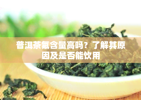 普洱茶氟含量高吗？了解其原因及是否能饮用