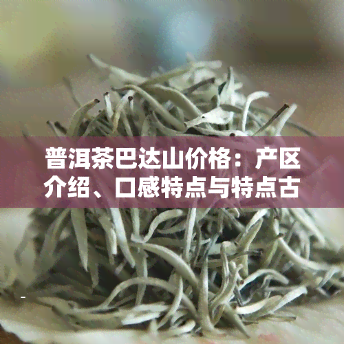 普洱茶巴达山价格：产区介绍、口感特点与特点古树茶