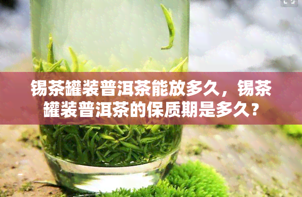 锡茶罐装普洱茶能放多久，锡茶罐装普洱茶的保质期是多久？