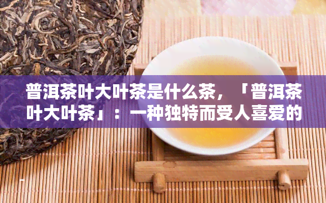 普洱茶叶大叶茶是什么茶，「普洱茶叶大叶茶」：一种独特而受人喜爱的茶叶种类