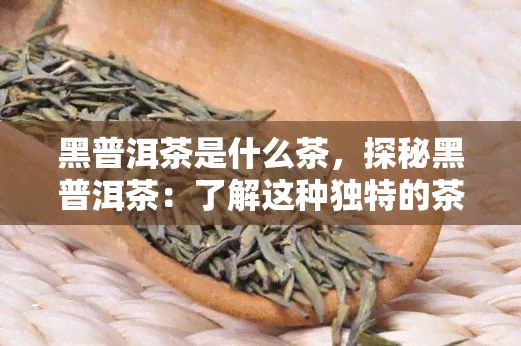 黑普洱茶是什么茶，探秘黑普洱茶：了解这种独特的茶类