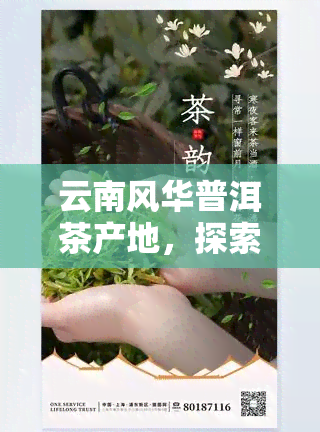 云南风华普洱茶产地，探索云南风华普洱茶的故乡：揭秘其独特的产地特征与魅力