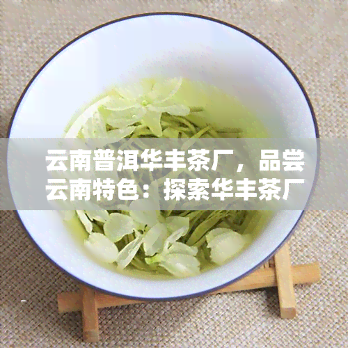 云南普洱华丰茶厂，品尝云南特色：探索华丰茶厂的普洱茶世界