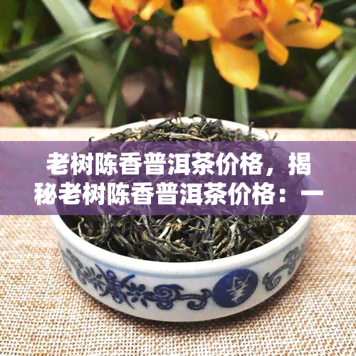 老树陈香普洱茶价格，揭秘老树陈香普洱茶价格：一份值得收藏的古级茶叶！