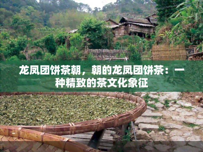 龙凤团饼茶朝，朝的龙凤团饼茶：一种精致的茶文化象征