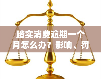 踏实消费逾期一个月怎么办？影响、罚息及后果全解析