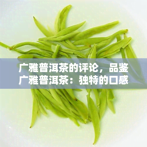 广雅普洱茶的评论，品鉴广雅普洱茶：独特的口感与历文化价值