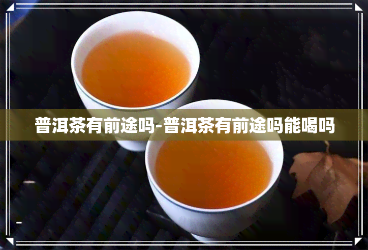 普洱茶有前途吗-普洱茶有前途吗能喝吗