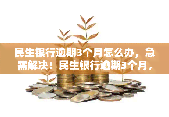 民生银行逾期3个月怎么办，急需解决！民生银行逾期3个月，你该怎么做？