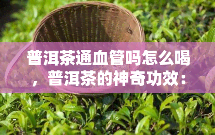 普洱茶通血管吗怎么喝，普洱茶的神奇功效：通血管？正确饮用方法解析！