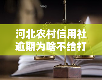 河北农村信用社逾期为啥不给打电话，为何河北农村信用社逾期未进行电话？