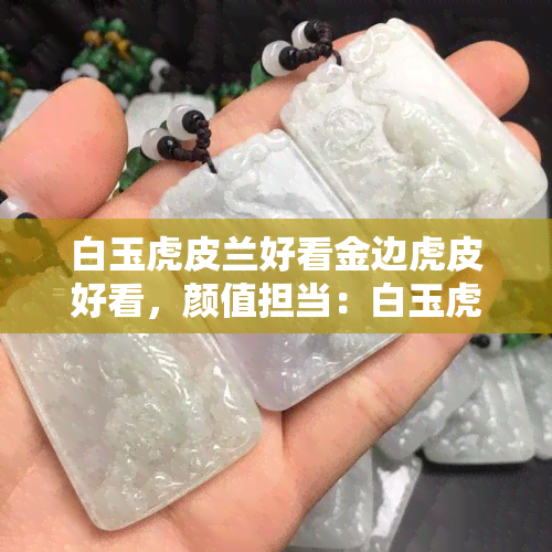 白玉虎皮兰好看金边虎皮好看，颜值担当：白玉虎皮兰与金边虎皮兰的美艳对比