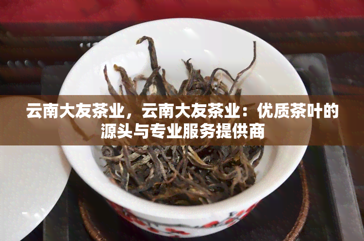 云南大友茶业，云南大友茶业：优质茶叶的源头与专业服务提供商