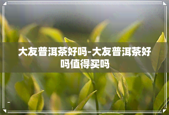 大友普洱茶好吗-大友普洱茶好吗值得买吗