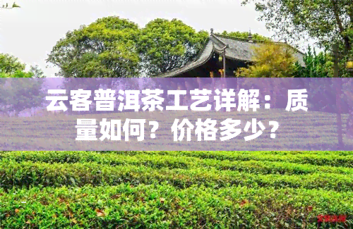 云客普洱茶工艺详解：质量如何？价格多少？