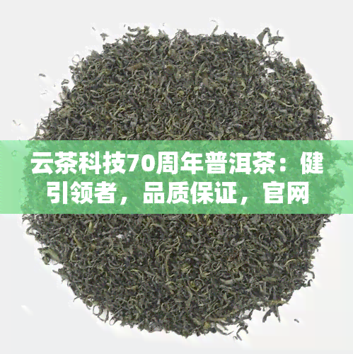 云茶科技70周年普洱茶：健引领者，品质保证，官网直达